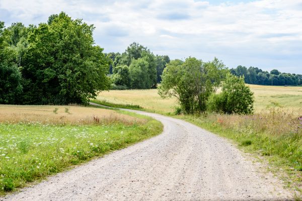 Stone Driveway Repair in Smyrna