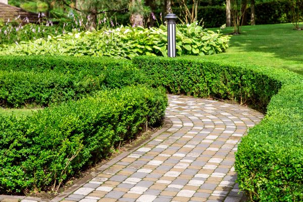 Cost of Paved Landscaping in Smyrna