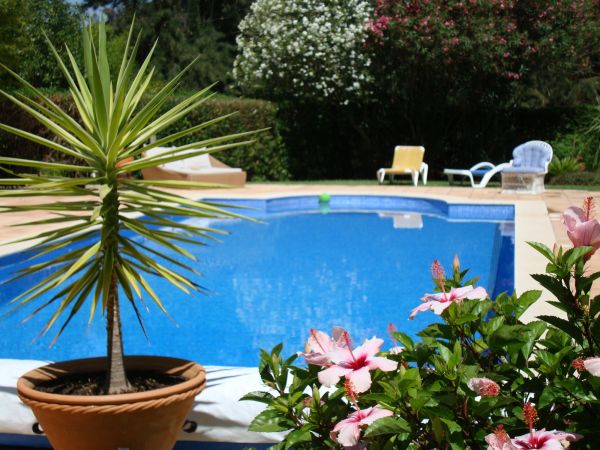 Cost of Pool Terrace Renovation in Smyrna